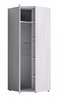Шкаф для одежды угловой 56 Paola в Железногорске - mebel154.com